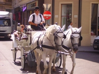 giri città di Vienna in carrozza Fiaker