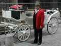 trasferimenti in carrozza Fiaker a Vienna