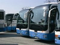 Wiener Stadtrundfahrten Autobusse Wien