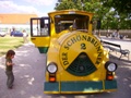 sightseeing tours in the gardens of Schönbrunn