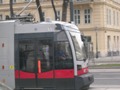 giri città di Vienna in tramway