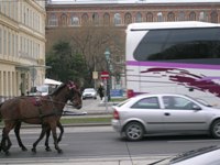 book transfers in Vienna