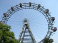 ferris wheel ride