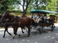 giri in carrozza "Zeiserlwagen"